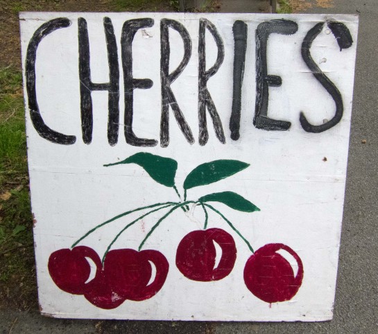 cherries in Kent
